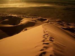 Obraz na płótnie słońce pustynia morze wydma republika południowej afryki