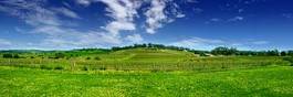 Naklejka trawa rolnictwo pejzaż panorama