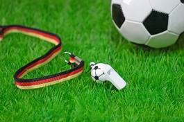 Obraz na płótnie boisko piłka trawa sport piłka nożna
