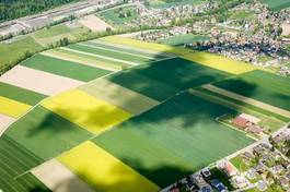 Obraz na płótnie pole trawa niebo rolnictwo paliwa