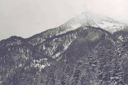 Obraz na płótnie drzewa retro alpy pejzaż bezdroża