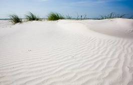 Naklejka park plaża wydma morze pejzaż