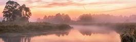 Naklejka foggy river in the morning