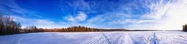 Fotoroleta łuk niebo drzewa pejzaż śnieg