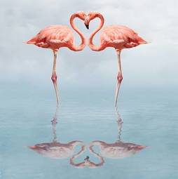 Naklejka ptak flamingo serce miłość