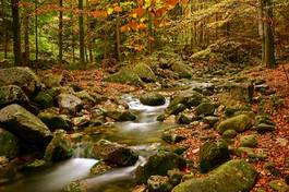 Fototapeta jesień wodospad góra drzewa
