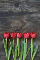 Naklejka tulipan kwiat bukiet