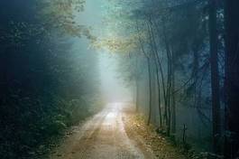 Fotoroleta magic autumn color foggy forest road. scary dark blue green colored countryside woodland.