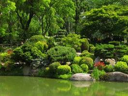 Fotoroleta park kompozycja woda ogród japoński