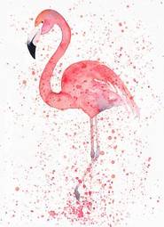 Naklejka flamingo ptak ładny egzotyczny