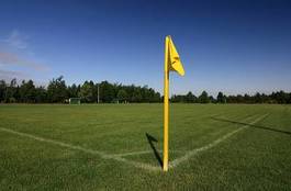 Obraz na płótnie piłka nożna boisko trawa
