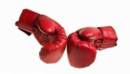 Naklejka kick-boxing boks sztuka bokser sport