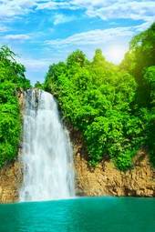 Obraz na płótnie dżungla drzewa las wodospad dziki