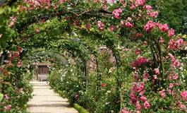 Naklejka bukiet francja park kwiat ogród