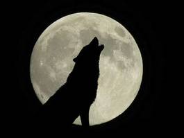 Naklejka planeta niebo noc kot księżyc