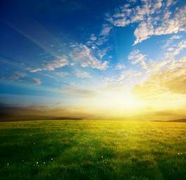 Plakat słońce rolnictwo piękny pole natura
