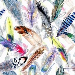 Plakat watercolor bird feather pattern from wing. aquarelle feather for background, texture, wrapper pattern, frame or border.