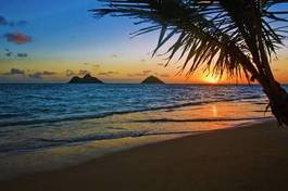 Fotoroleta plaża hawaje tropikalny sylwetka tropików