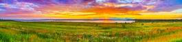 Naklejka woda panoramiczny słońce natura łąka