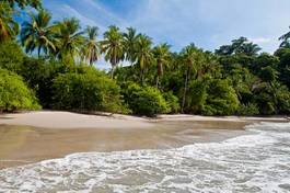 Naklejka pejzaż kostaryka las fala