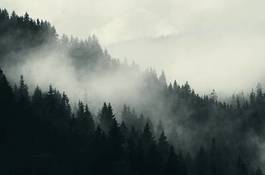 Fototapeta dark forest and mountains, foggy landscape