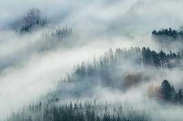 Obraz na płótnie krajobraz widok góra las