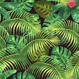 Plakat dżungla egzotyczny wzór modny
