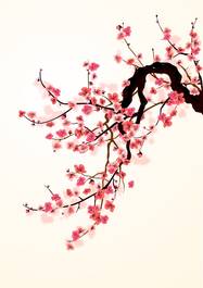 Naklejka japoński sztuka wiśnia