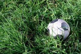 Fototapeta zabawa trawa narodowy piłka nożna zdrowie
