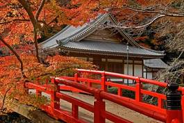 Fotoroleta świątynia drzewa jesień most japoński