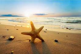 Naklejka rozgwiazda na plaży
