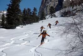 Naklejka narciarz śnieg lekkoatletka sport narty