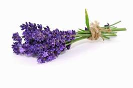 Obraz na płótnie kwiat aromaterapia bukiet lawenda fitness