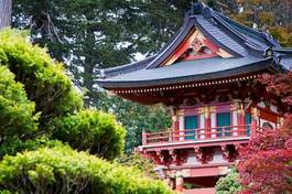 Naklejka drzewa kalifornia azja świątynia japoński