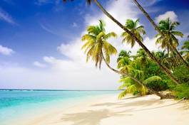 Naklejka karaiby plaża wybrzeże krajobraz tropikalny