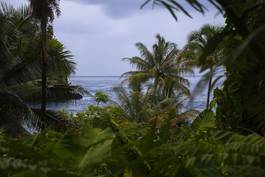 Obraz na płótnie hawaje 2017 lipiec