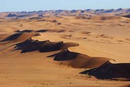 Plakat natura wydma pustynia