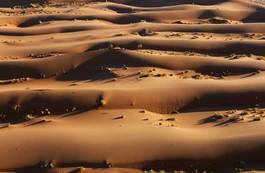 Fototapeta wydma afryka pustynia natura krajobraz