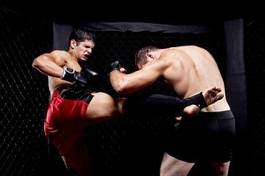 Naklejka sport boks mężczyzna bokser