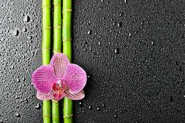 Naklejka masaż bambus kwiat