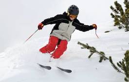 Plakat narciarz sporty zimowe narty śnieg