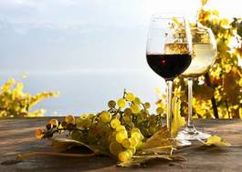 Naklejka lampki wina i winogrona