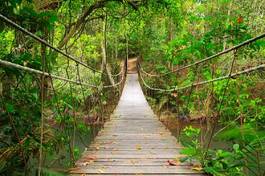 Fototapeta wiszący most w dżungli