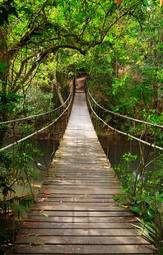 Naklejka bridge to the jungle,khao yai national park,thailand