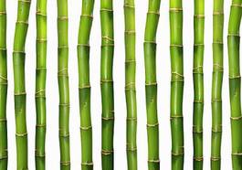 Naklejka bambus japoński lato