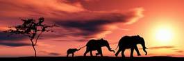 Obraz na płótnie rodzinka słoni