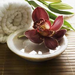 Plakat kwiat zen masaż