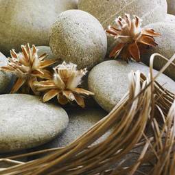 Fotoroleta masaż kwiat zen