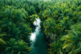 Naklejka widok drzewa zabawa wyspa tropikalny