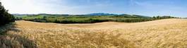 Fotoroleta rolnictwo jedzenie europa żniwa wzgórze